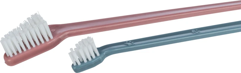 Zahnbürsten-Set