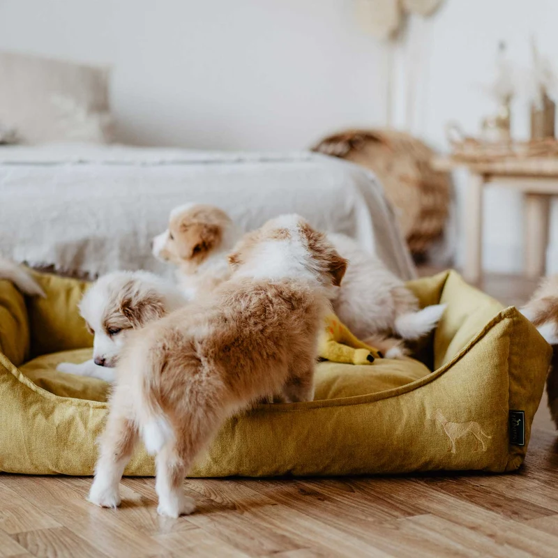 Hundesofa Eiby