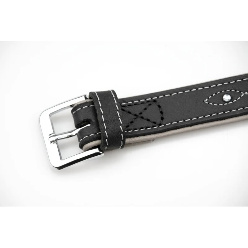 Sternfalbe Lederhalsband für Hunde