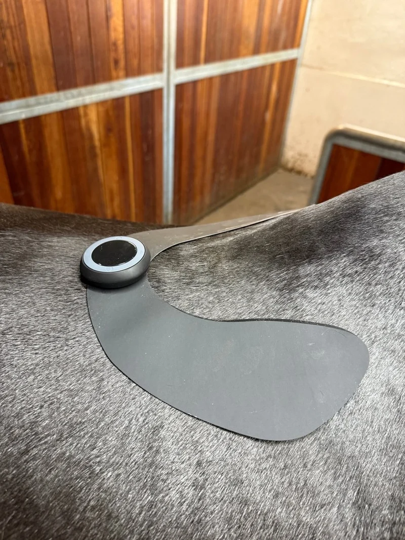 Equine LTS TENS – Zur Schmerzlinderung und Muskelentspannung