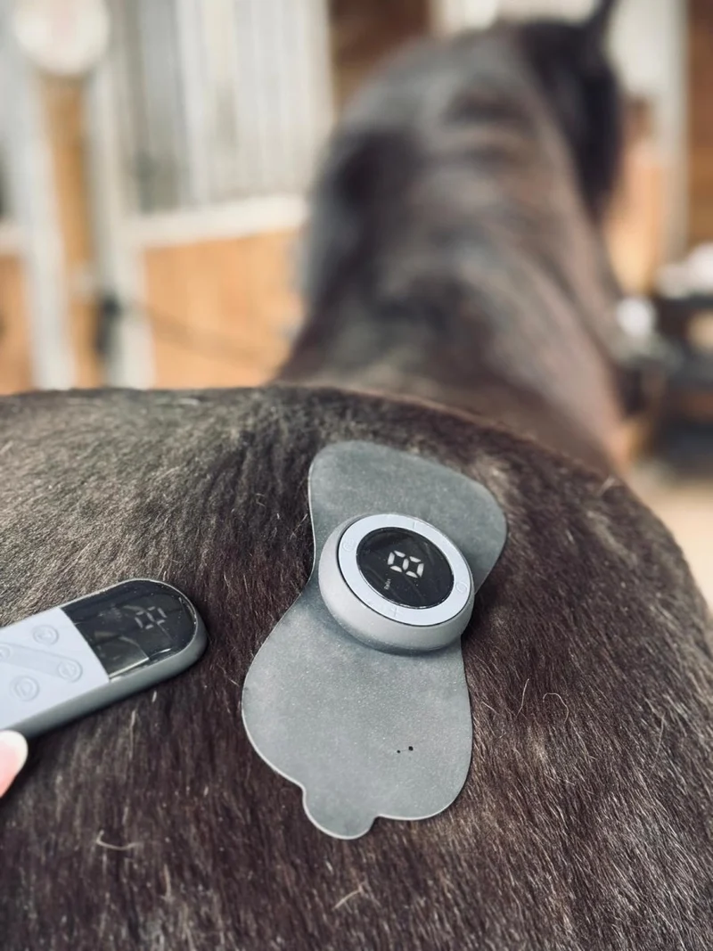 Equine LTS TENS – Zur Schmerzlinderung und Muskelentspannung