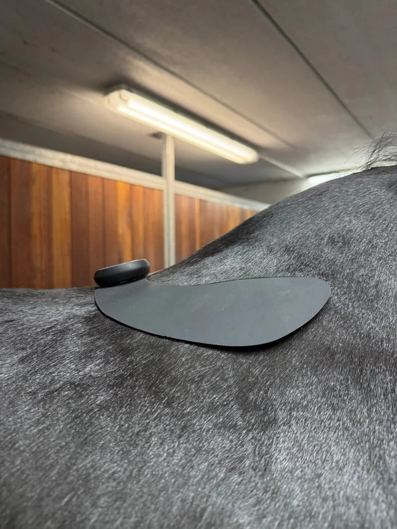 Equine LTS TENS – Zur Schmerzlinderung und Muskelentspannung