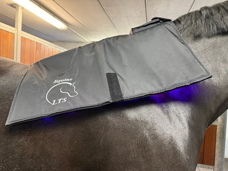 Equine LTS - Topline - NEU 2025