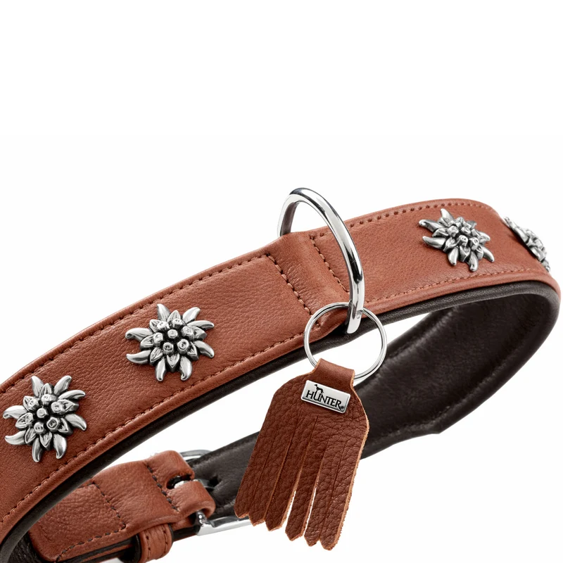 Halsband München