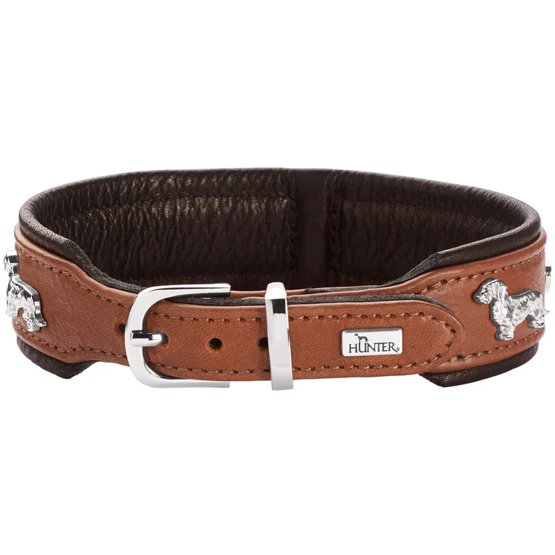 Teckel-Halsband München