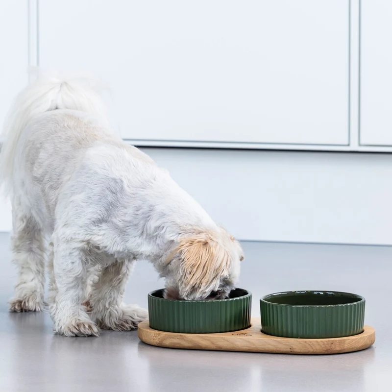 Dog Copenhagen - Kronborg Foodbar - Racing Green/Eiche