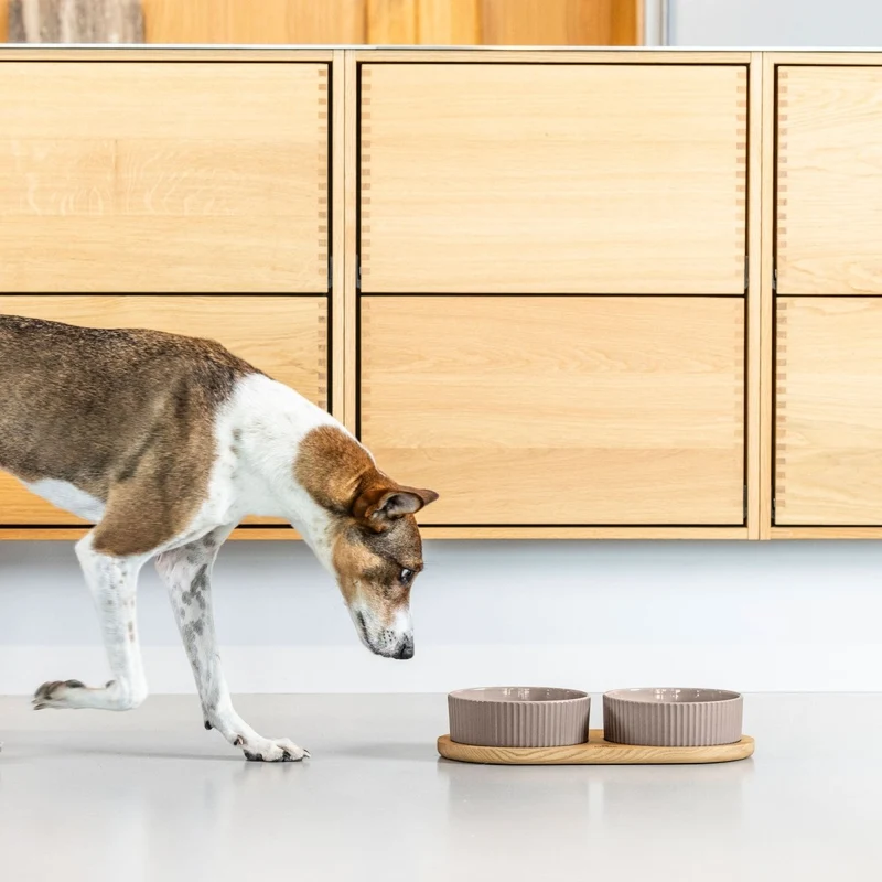 Dog Copenhagen - Kronborg Foodbar - Caffe Latte/Eiche