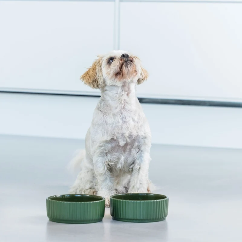 Dog Copenhagen - Kronborg Hundenapf - Racing Green