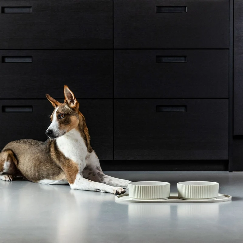 Dog Copenhagen - Kronborg Hundenapf - Racing Green