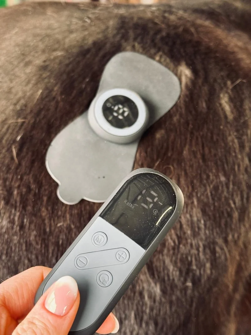 Equine LTS TENS – Zur Schmerzlinderung und Muskelentspannung