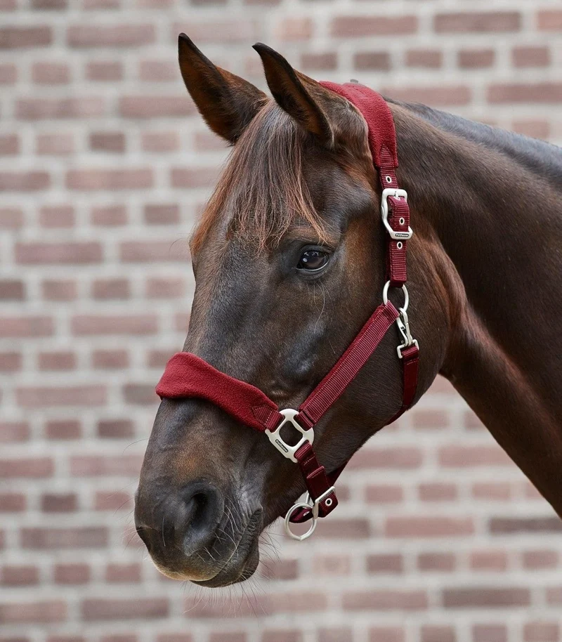 Waldhausen Halfter - Premium - Pony