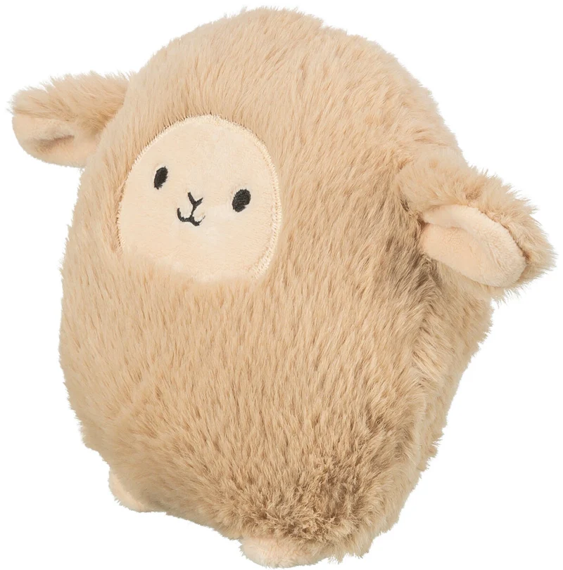 Schaf