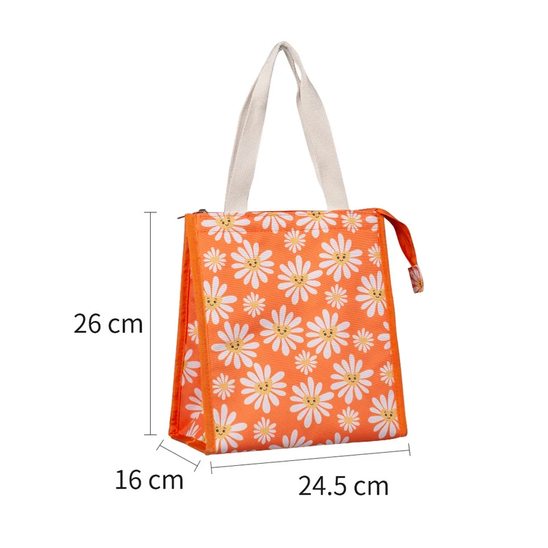Umweltfreundlicher isolierter Lunch Tote