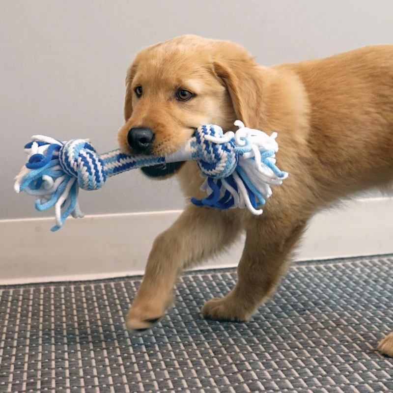KONG Rope Ball Puppy – Welpenspielzeug Seilball für Welpen