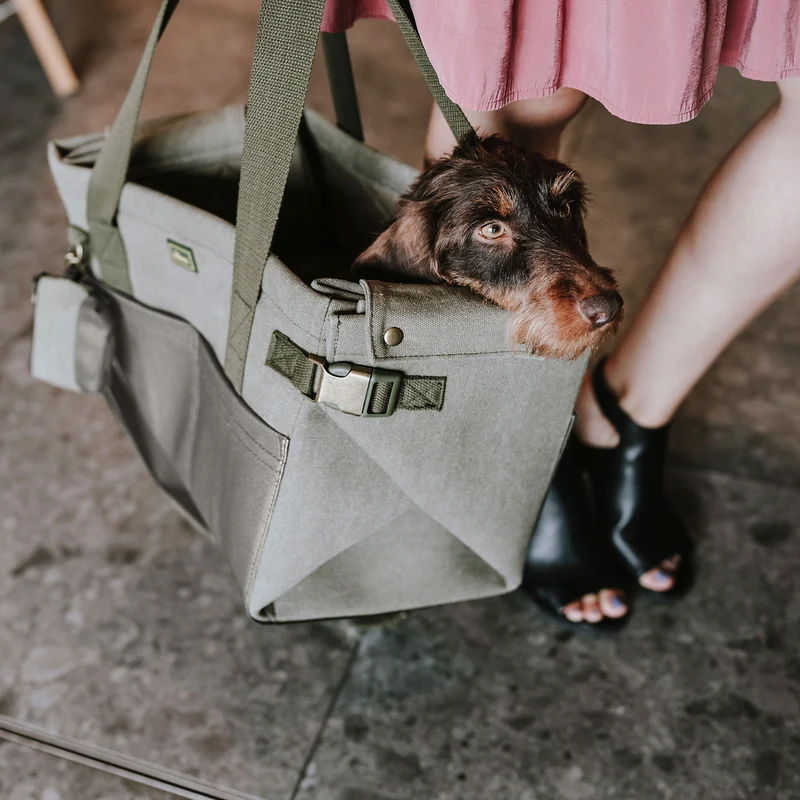 Tragetasche & Hundedecke Madison