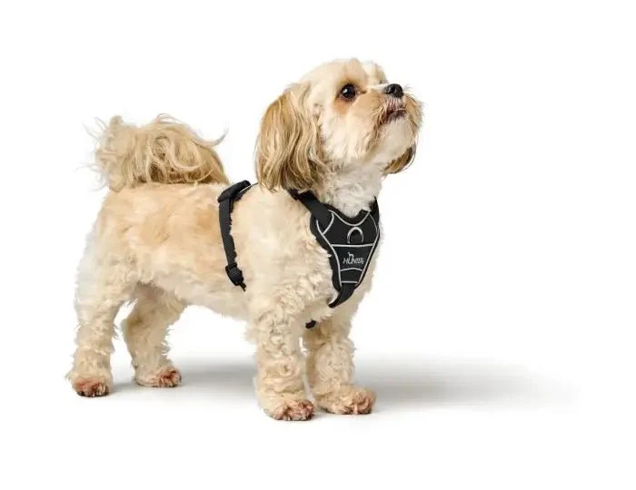 Hunter – Hundegeschirr „Divo Up“ – Schwarz