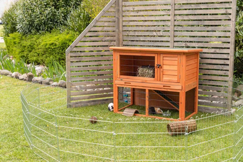Meerschweinchenstall mit Freilauf