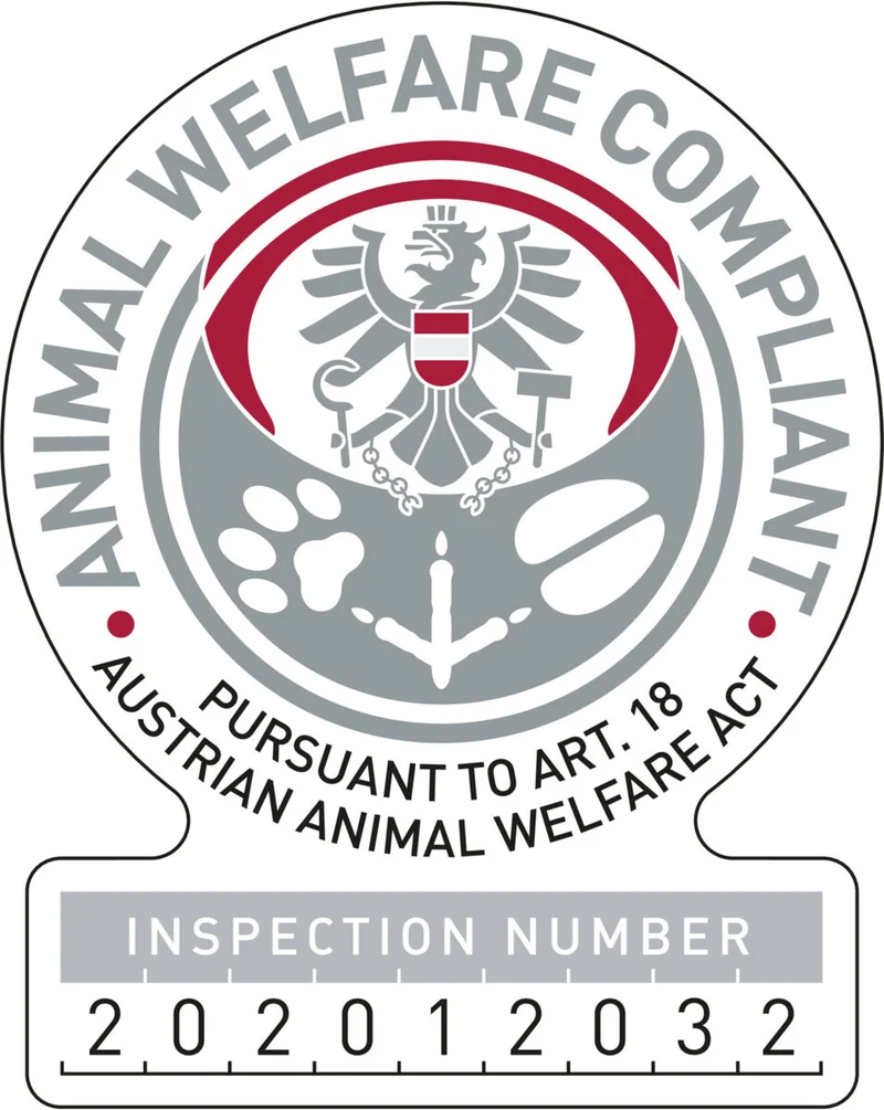 Snack-Würfel