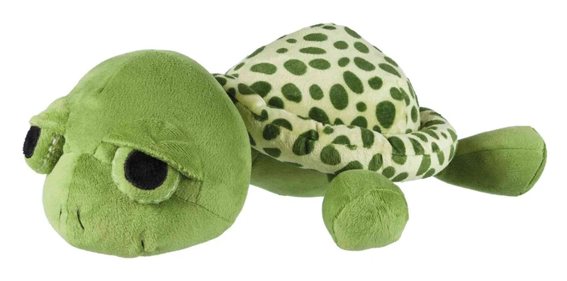 Schildkröte