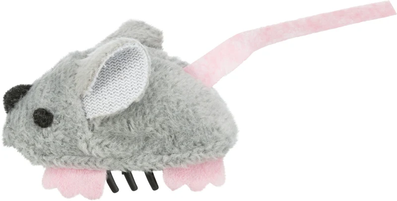 Rennmaus