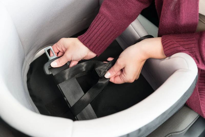 Erhöhter Autositz für kleine Hunde inkl. Anschnallgurt