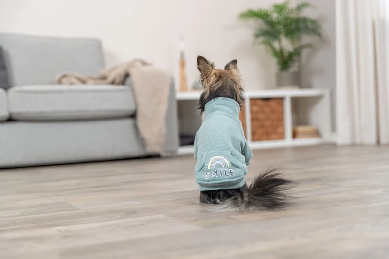 Sweatshirt Littleton