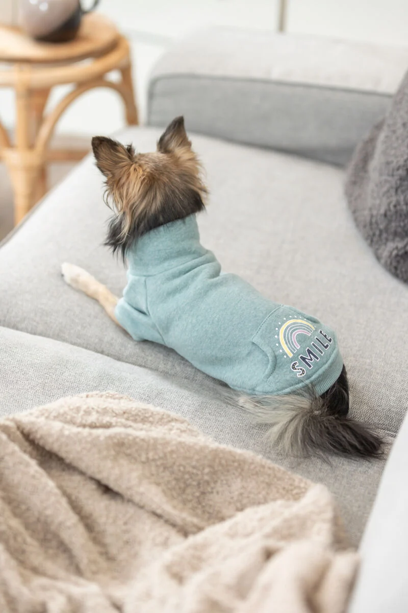 Sweatshirt Littleton