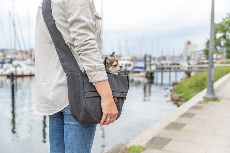 BE NORDIC Umhängetasche Ingrid in Canvas-Optik als Hundetragetasche oder Gassitasche