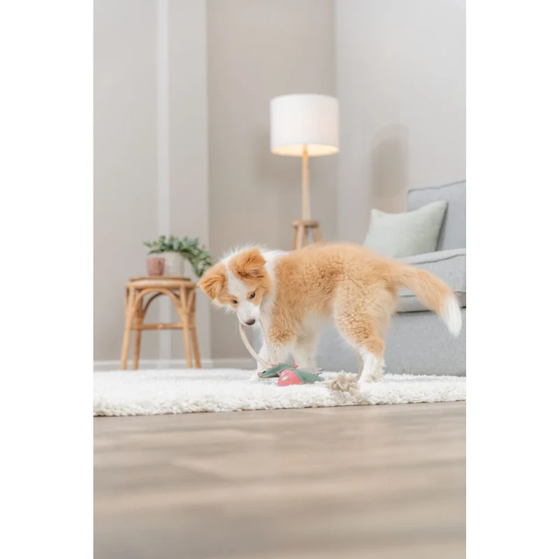 Hundespielzeug Drache am Tau, aus Echtleder/Tau