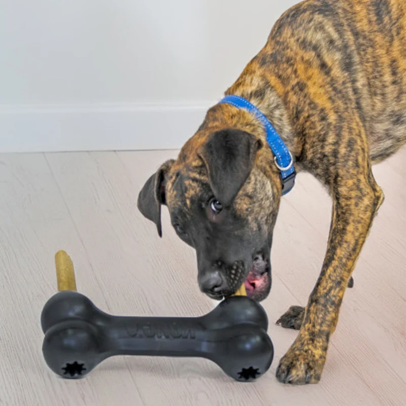 KONG Extreme Goodie Bone XL – Robuster Kauknochen aus Naturkautschuk | befüllbar | 26 cm