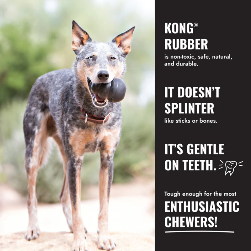 KONG Extreme Goodie Bone XL – Robuster Kauknochen aus Naturkautschuk | befüllbar | 26 cm