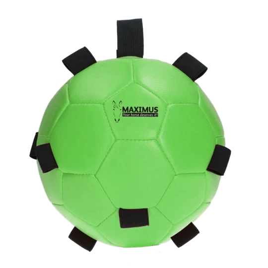 Aktivitätsspielzeug - Ball für Karotten - Grün
