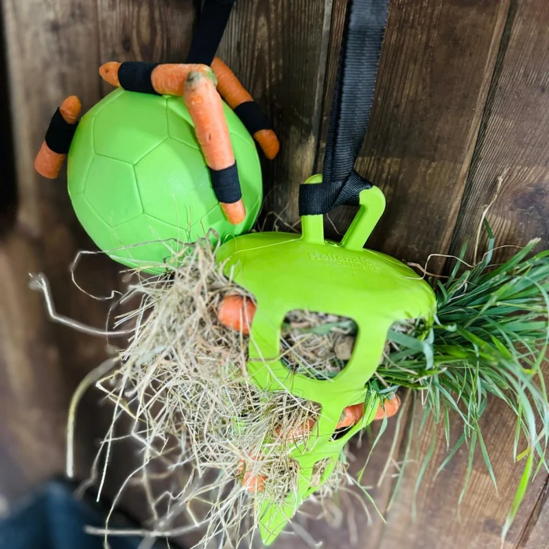 Aktivitätsspielzeug - Ball für Karotten - Grün