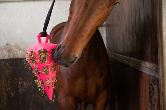 Aktivitätsspielzeug - Rosa Karotte