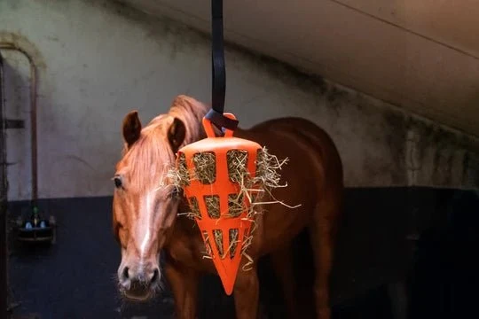 Aktivitätsspielzeug - Orange Karotte