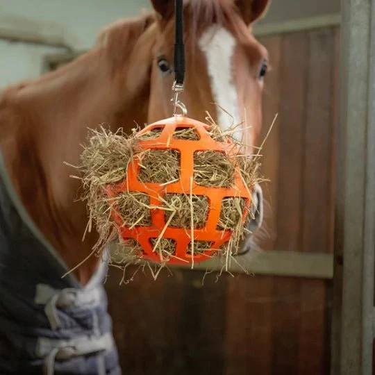 Aktivitätsspielzeug - Orangefarbener Ball