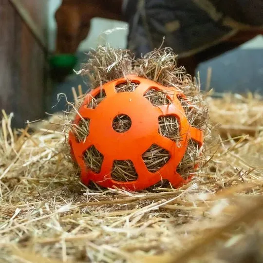 Aktivitätsspielzeug - Orangefarbener Ball
