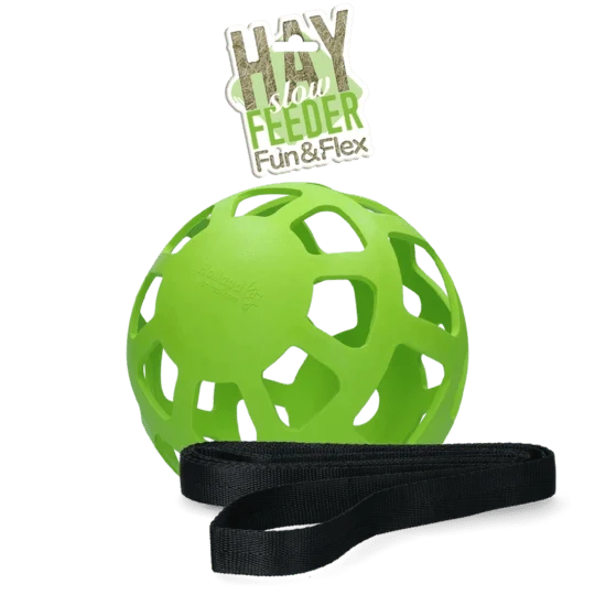 Aktivitätsspielzeug - Grüner Ball