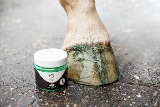 Hochglanz – Glitter Hoovlak – Grün