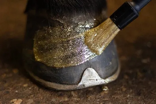 Hochglanz – Glitter Hoovlak – Gold