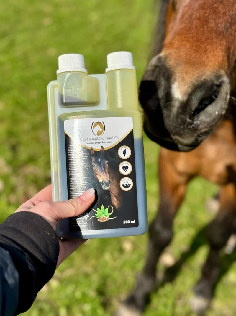 Hanfsamenöl – Gelenke, Darm und glänzendes Fell – 500 ml
