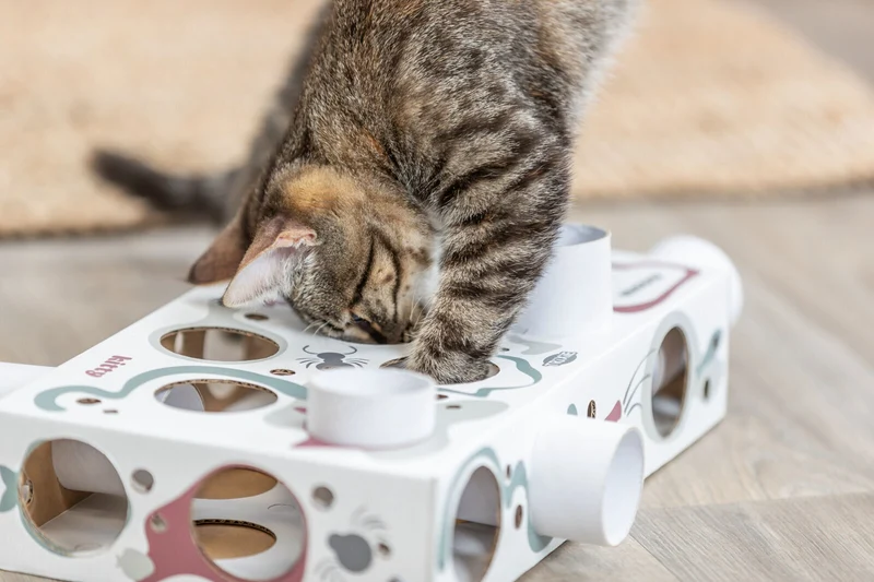 Paws'n'Treats Box mit beliebig steckbaren Röhren für Katzen