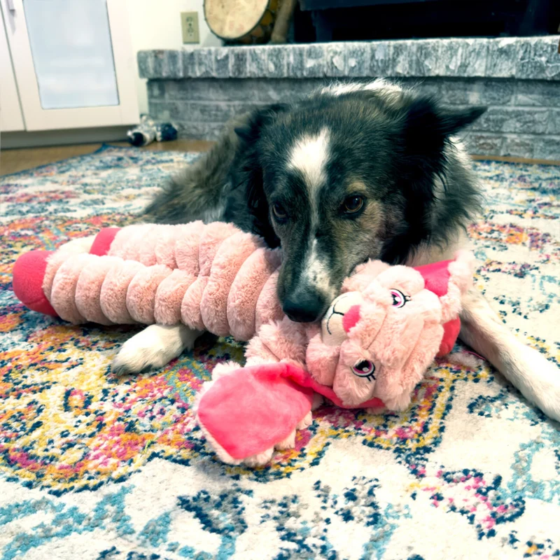KONG Shakers Crumples XL – Plüsch-Hundespielzeug mit Knister & Quietscher | Hase, Elefant & Faultier