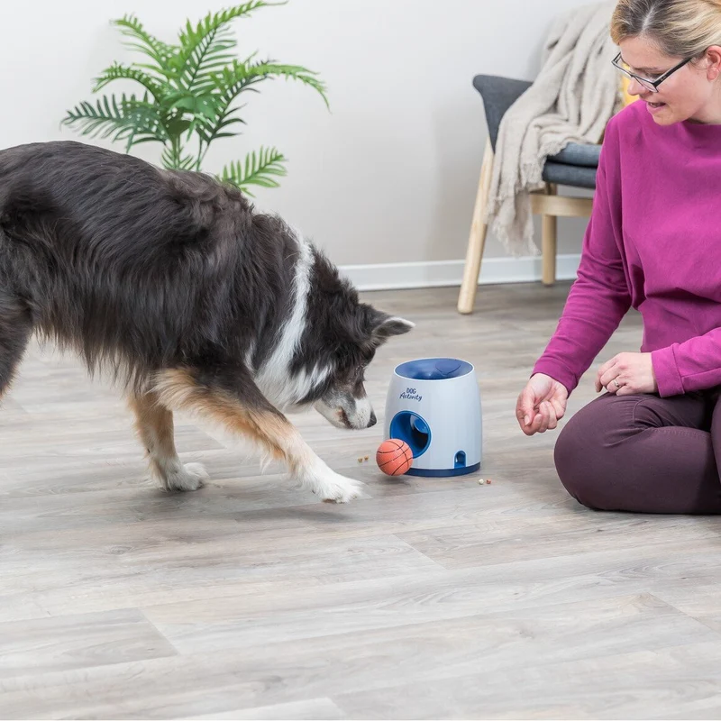Dog Activity Strategiespiel Ball & Treat für Hunde