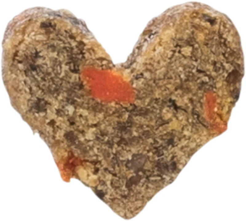 Insect Hearts