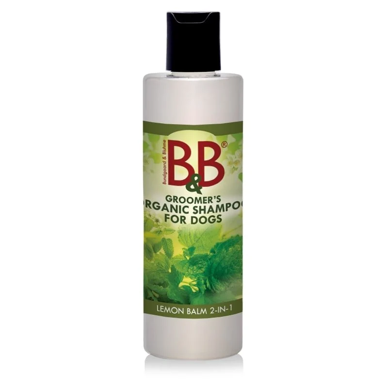 Melissa 2-in-1-Shampoo – 250 ml