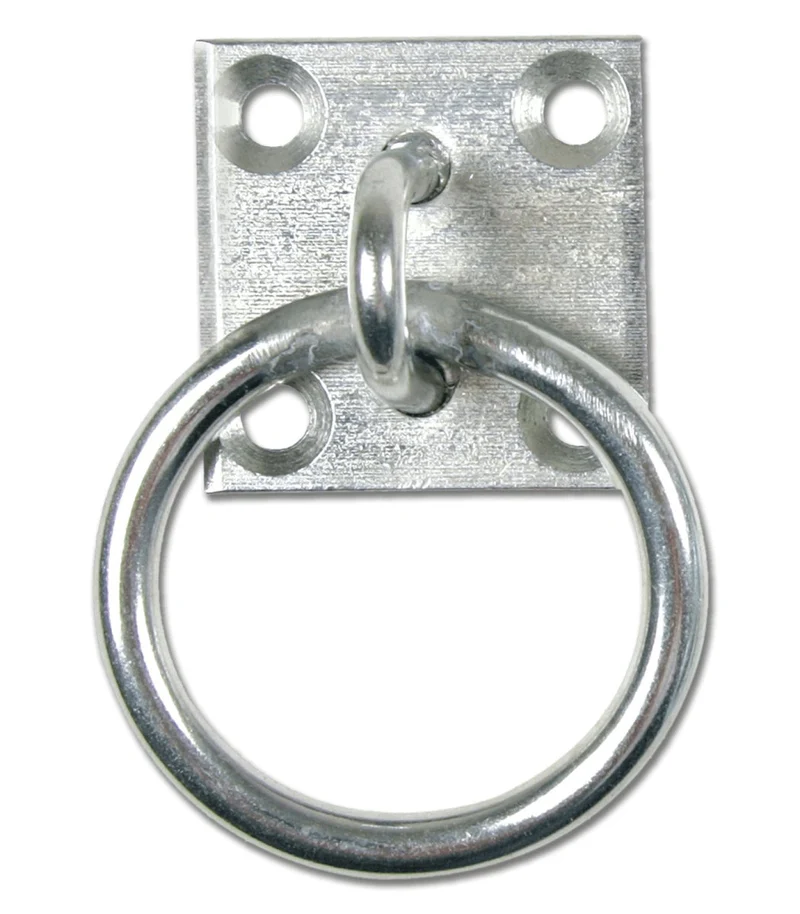 Waldhausen-Ring auf Wandplatte