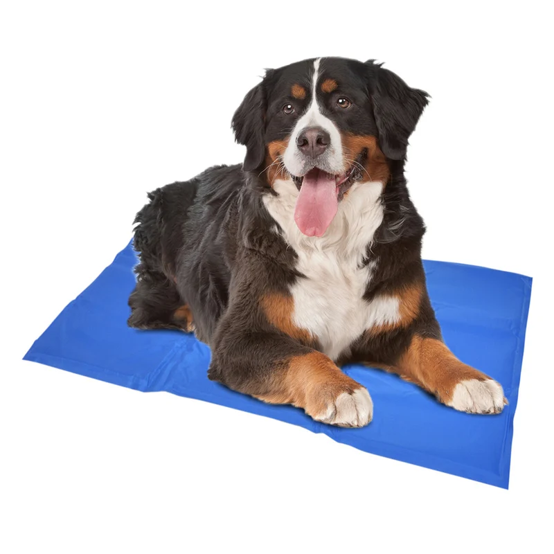 Duvo+ Kühlmatte für Hunde Blau – Die perfekte Erfrischung für deinen Liebling im Sommer