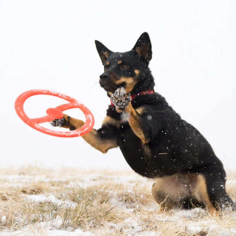 Bionic TOSS-N-TUG® langlebiges Hundespielzeug