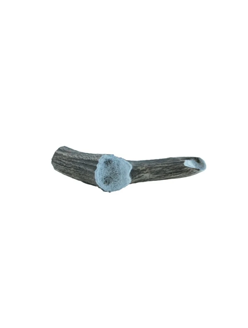 Hirschgeweih – Geweih – groß, 100–150 g